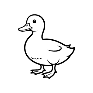 Dessin Facile Canard