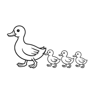 Dessin Facile Canard et Canetons se promènent
