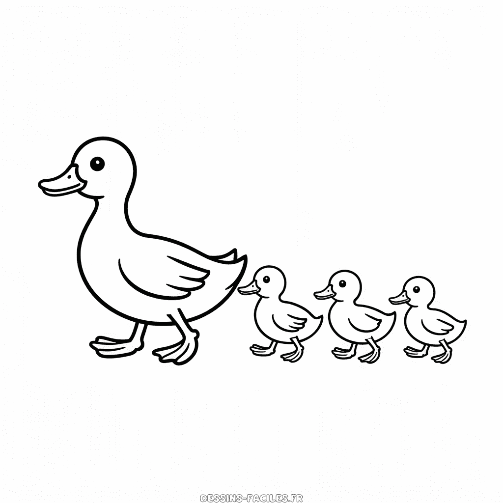 Dessin Facile Canard et Canetons se promènent