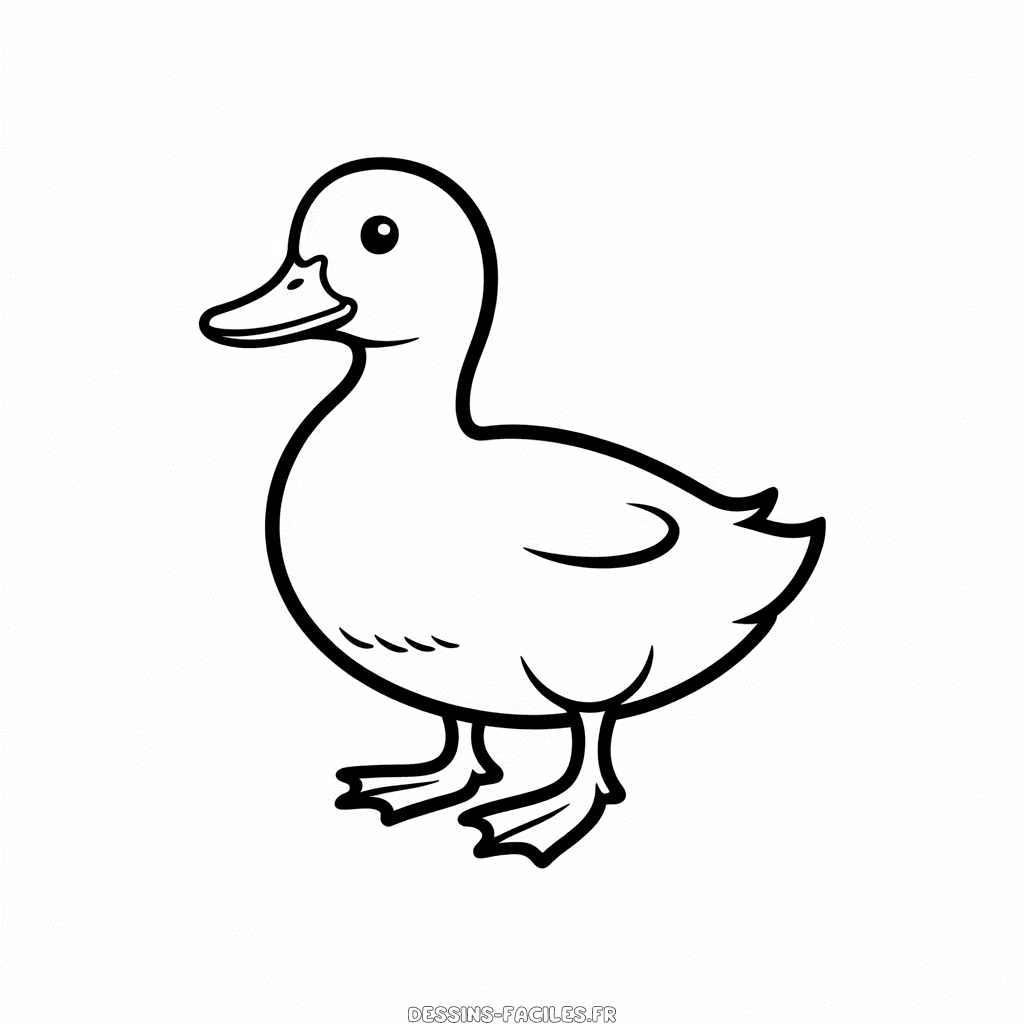 Dessin Facile Canard