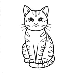 Dessin Facile Chat Noir et Blanc