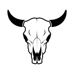 Dessin Facile Crâne de vache