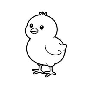 Dessin Facile Image de poussin