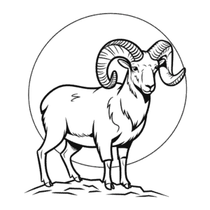 Dessin Facile Mouflon à cornes réalistes