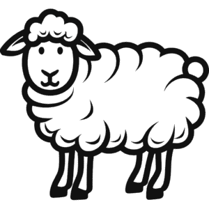 Dessin Facile Mouton de Dall