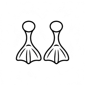 Dessin Facile Pieds de Canard