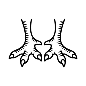 Dessin Facile Pieds de Dinde