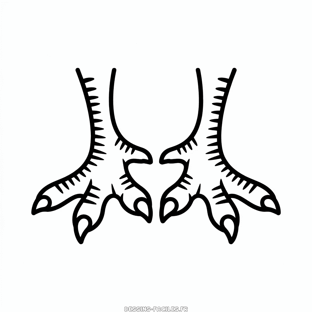 Dessin Facile Pieds de Dinde
