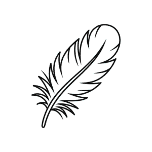 Dessin Facile Plume de Dinde