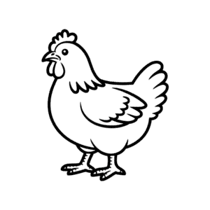 Dessin Facile Poule Plymouth Rock