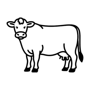 Dessin Facile Vache Jersey