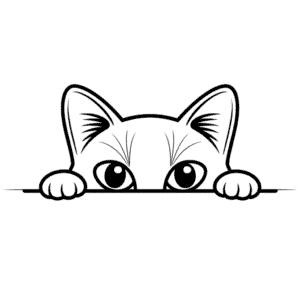 Dessin Facile Yeux de Chat