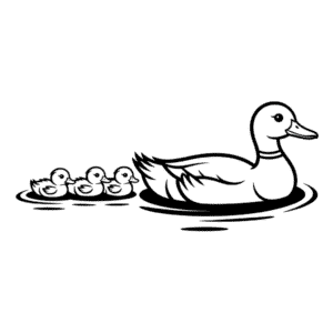 Dessin Facile Canard et Canetons