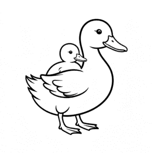 Dessin Facile Canard Portant un Bébé