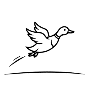 Dessin Facile Canard Volant