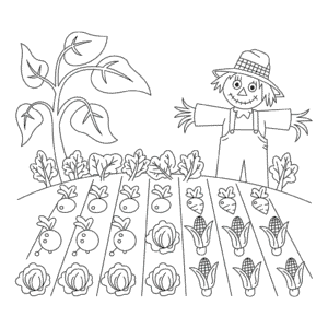Dessin Facile Cultures de la ferme