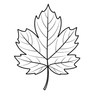 Dessin Facile Feuille d'Automne