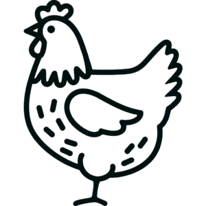 Dessin Facile Poule simple