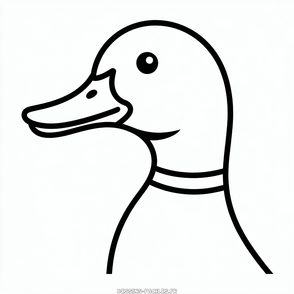 Dessin Facile Tête de canard