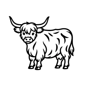 Dessin Facile Vache des Highlands